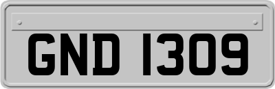 GND1309