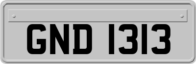 GND1313