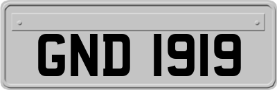 GND1919
