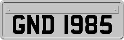GND1985