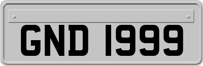 GND1999