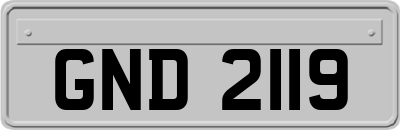 GND2119