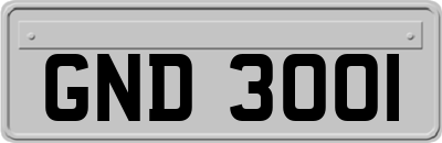 GND3001