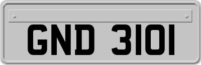 GND3101