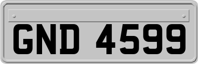 GND4599