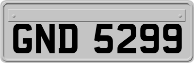 GND5299