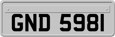 GND5981