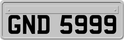 GND5999