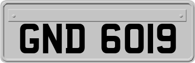 GND6019