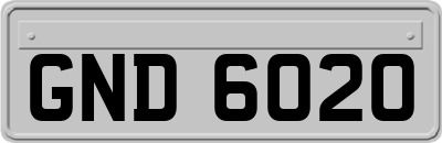 GND6020