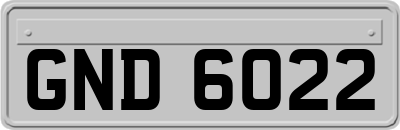 GND6022
