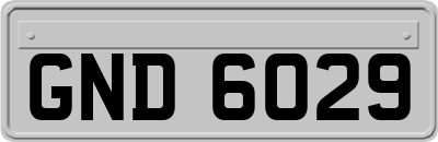 GND6029