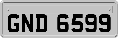 GND6599