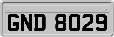 GND8029