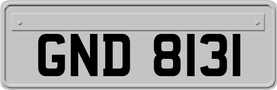 GND8131