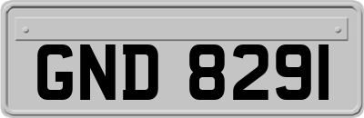 GND8291