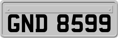 GND8599
