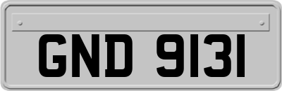 GND9131