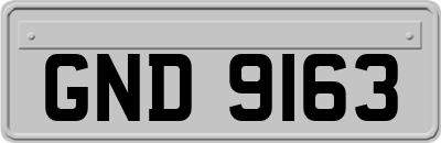 GND9163