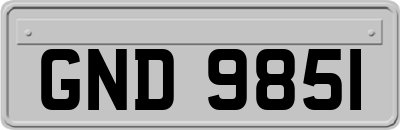 GND9851