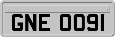 GNE0091