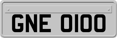 GNE0100