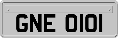 GNE0101