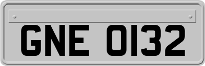 GNE0132
