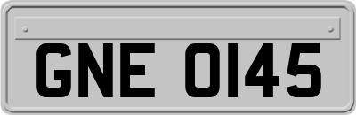 GNE0145