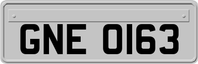 GNE0163