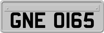GNE0165