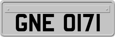 GNE0171