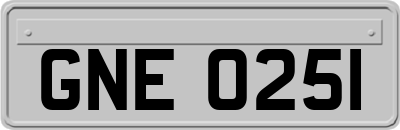 GNE0251