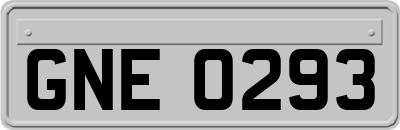 GNE0293