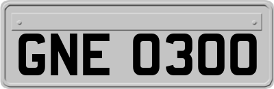 GNE0300