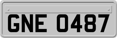 GNE0487