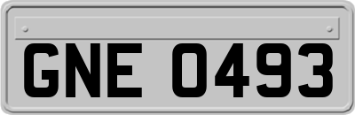 GNE0493