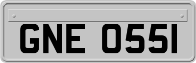 GNE0551