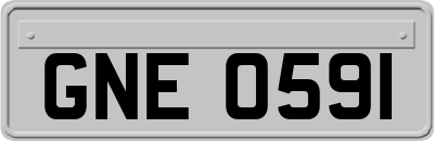 GNE0591