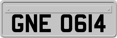 GNE0614