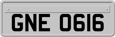 GNE0616