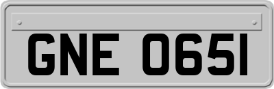 GNE0651