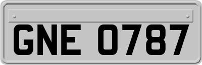 GNE0787