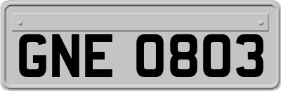 GNE0803