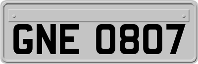 GNE0807