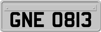GNE0813