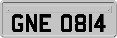 GNE0814