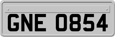 GNE0854