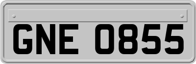 GNE0855
