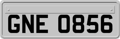 GNE0856